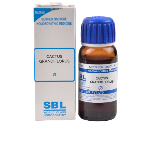 Picture of SBL Homeopathy Cactus Grandiflorus Mother Tincture Q - 30 ML