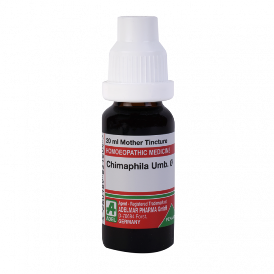 Picture of ADEL Chimaphila Umb Mother Tincture Q - 20 ml