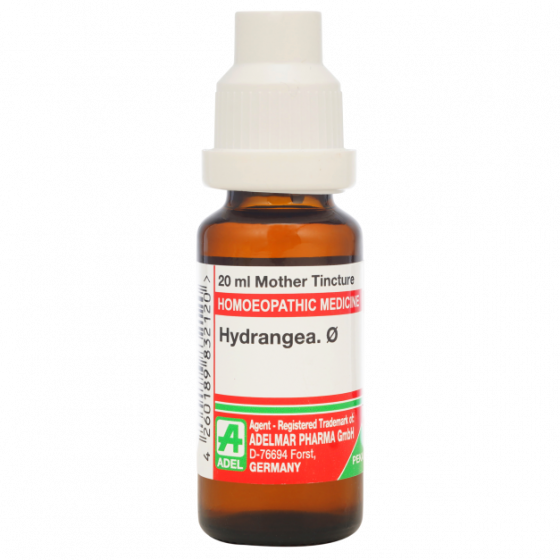 Picture of ADEL Hydrangea Mother Tincture Q - 20 ml
