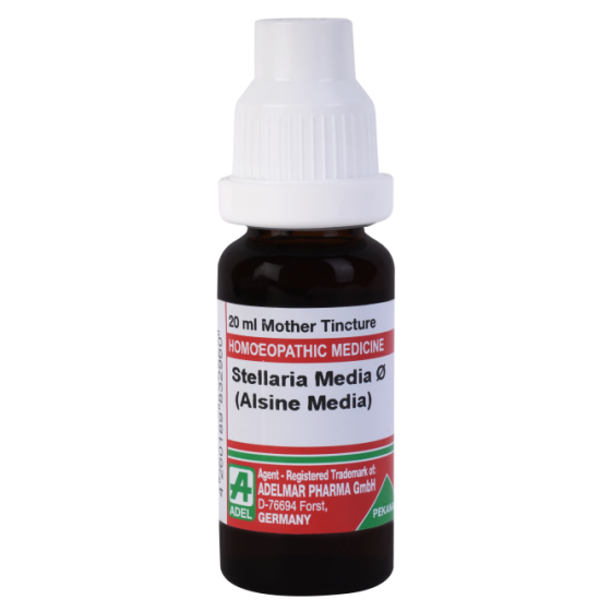 Picture of ADEL Stellaria Media Mother Tincture Q - 20 ml