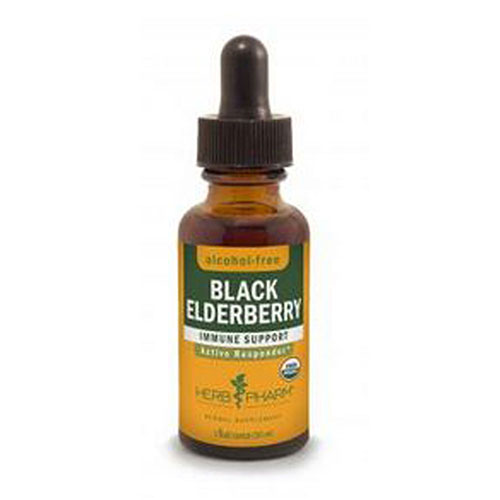 Picture of Black Elderberry Glycerite