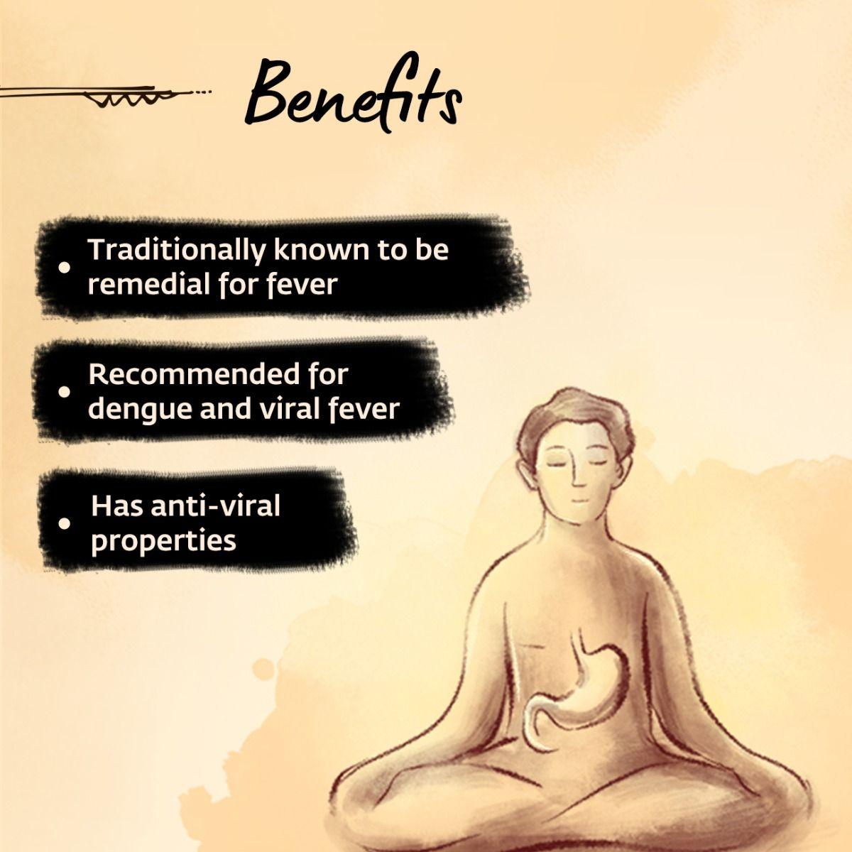 Picture of Isha Life Nilavembhu Kudineer (Kashayam). Immunity booster (100 gms)