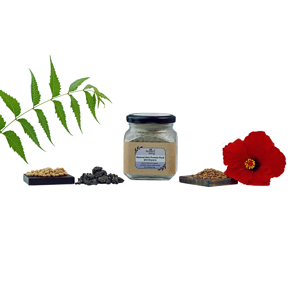 Picture of Ancient Living Natural Hair Protein Pack - Jar-100gm