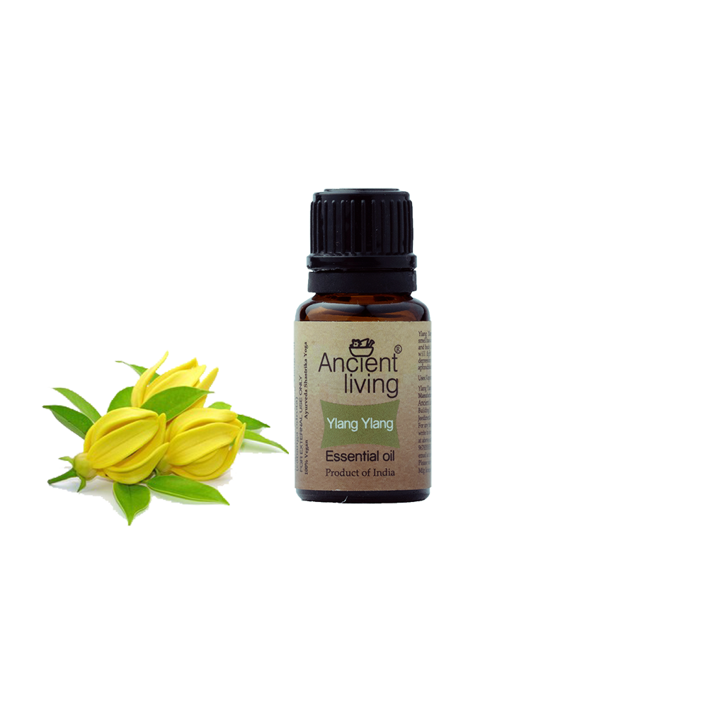 Picture of Ancient Living Ylang Ylang Essential Oil - 10 ml